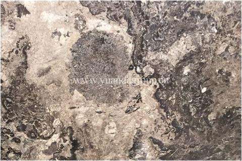 Moon brown marble slabs