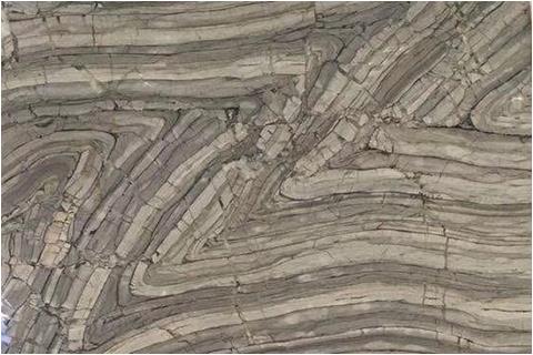 Fossil stone grey marble