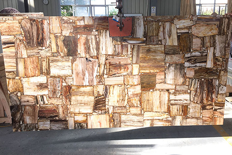 Petrified Wood Semiprecious Stone