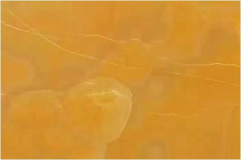 Orange onyx