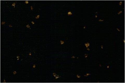 Black Galaxy Artificial Marble